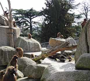Wilhelma Stuttgart
