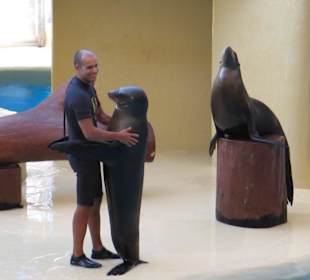 Loro Parque