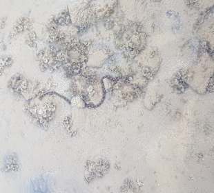 Schnorcheln Makadi Bay