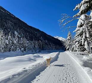 Wandern St. Jakob im Defereggental