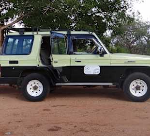 Safari 