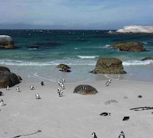Boulders Beach