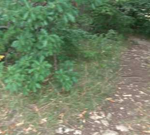 Tour entlang der Traifelbergfelsen