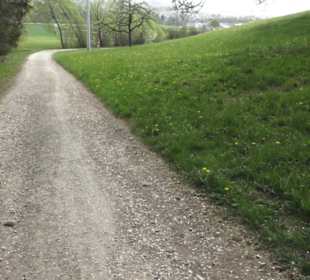 Wanderweg Firstwaldrunde