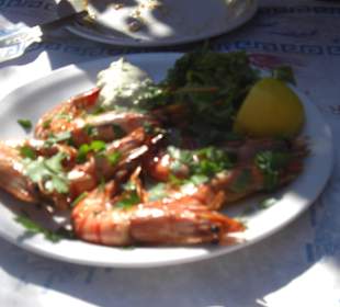 Taverne Arche Noah