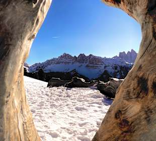 Wandern Bressanone / Brixen