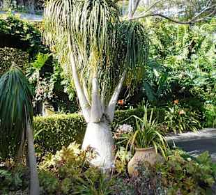 Monte Palace Tropical Garden