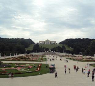 Zamek Schönbrunn
