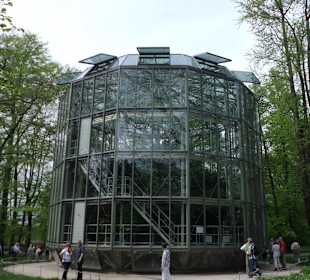 Das Kameliengewächshaus 