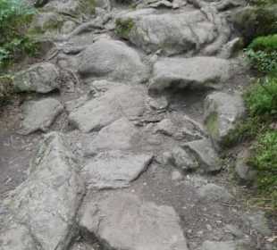 Wanderung zu wilden Bächen und hohen Wasserfällen