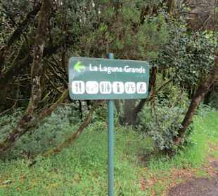  Besucherzentrum Nationalpark Garajonay