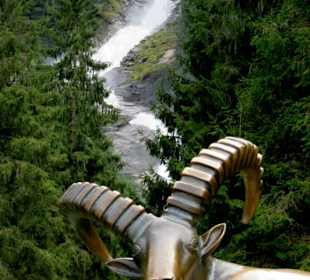 Ein Steinbock vor dem Wasserfall