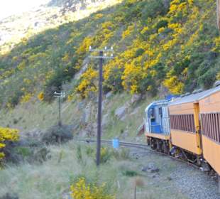 Mitder Taileri Railway durch die Natur Neuseelands