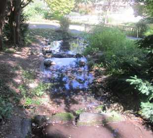 Kurpark Bad Bergzabern