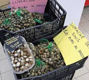 Schnecken im Angebot der Markthalle