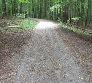 Altwege Rundwanderung Bebenhausen