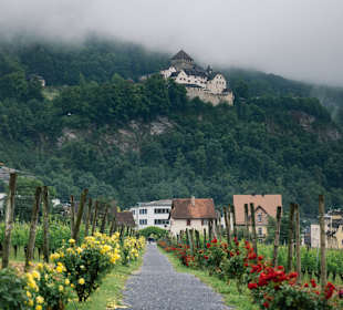 Schloss Vaduz