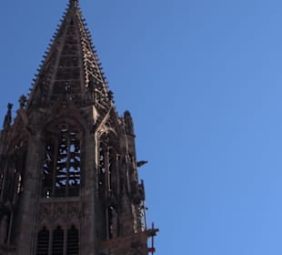 Freiburger Münster