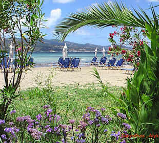 Blick auf den Strand