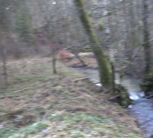 Wanderung rund um den Ochsenweiher