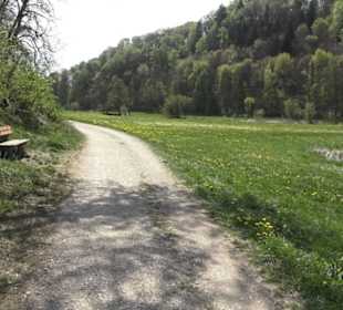Heuscheuerle - Anhausen