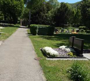 Friedhof Gönningen