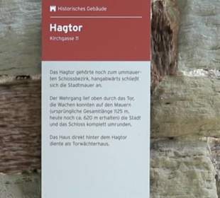 Hagtor