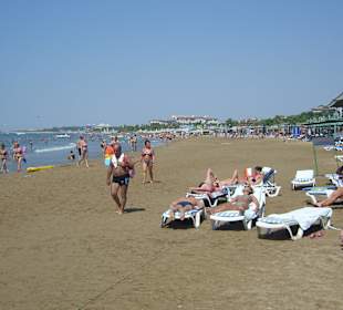 Der Strand am Morgen