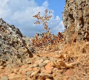 Ein paar Inspirationen von unserer Strandwanderung