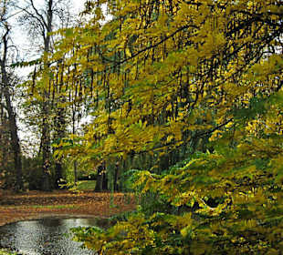 Парк Замка Ойтин.Золотая осень.