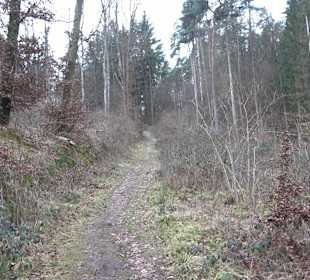 Unterjesinger Wengertwegle