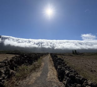 Wandern Los Cancajos