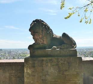 Neroberg: bei der Löwenterrasse