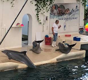 Delfinarium Varna