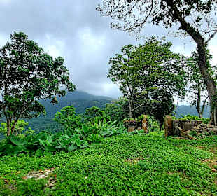 Parque Natural Obô do Príncipe