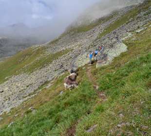 Aufstieg durch´s "Moos"