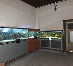 Old Town Aquarium, Rhodos