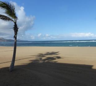Am Stadtstrand Playa de las Canteras