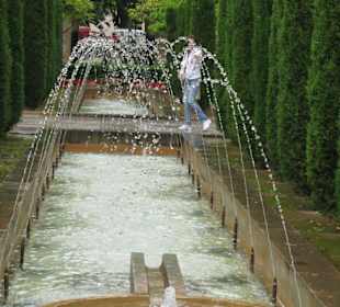 Perle des Mittelmeeres -  Palma -