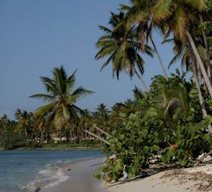 Auf dem Weg nach Las Galeras