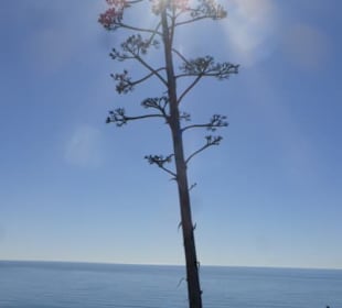 Blick zur Praia do Porto de Mós bei Lagos
