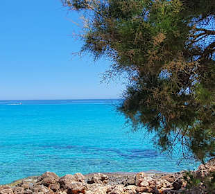 Roxybike Mountainbike Events und Coaching