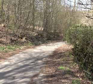 Spazierweg Ritter Museum