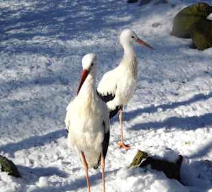 ImpressionOstern2013