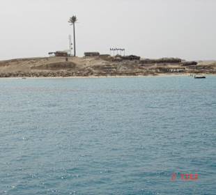 Ausflug zur Schnorchelinsel Mahmya