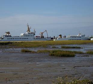 Salzwiesen Erlebnispfad Nessmersiel
