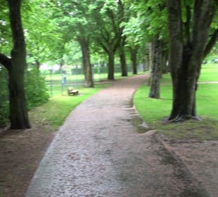 Wanderung rund um den Stadtsee