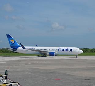 Condor