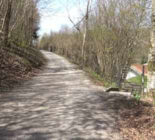 Spazierweg Ritter Museum