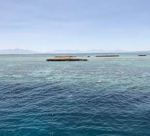 Schnorcheln Sahl Hasheesh